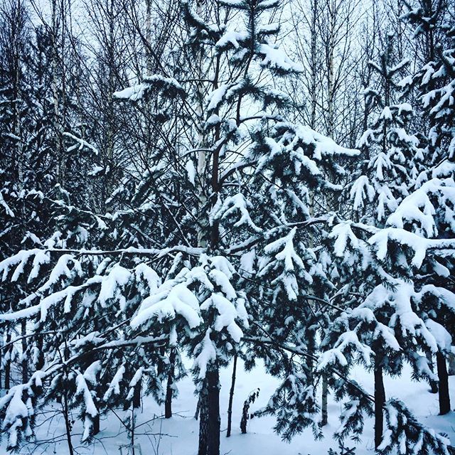 Russian+Winter