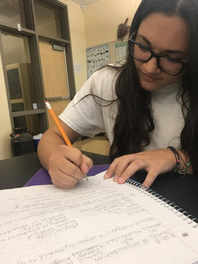 Kayla Leon-Guerrero completes her AP Physics during lunch.  AP students worked hard over the summer to get ready for the new school year.