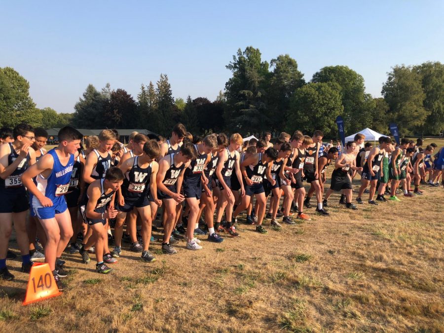 Wilsonville+cross+country+dominates+at+NWOC+preview