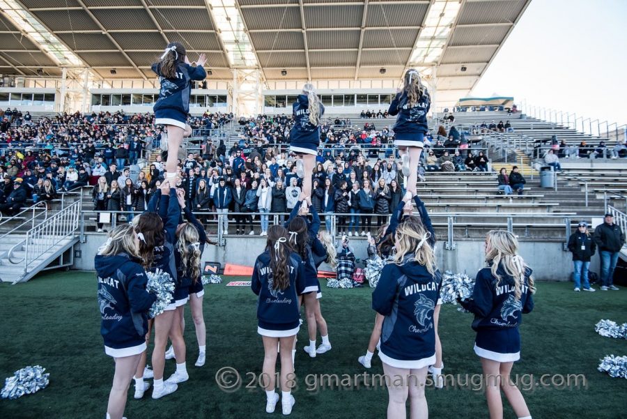 WHS Cheer takes on the Albanys at 2019 state championship