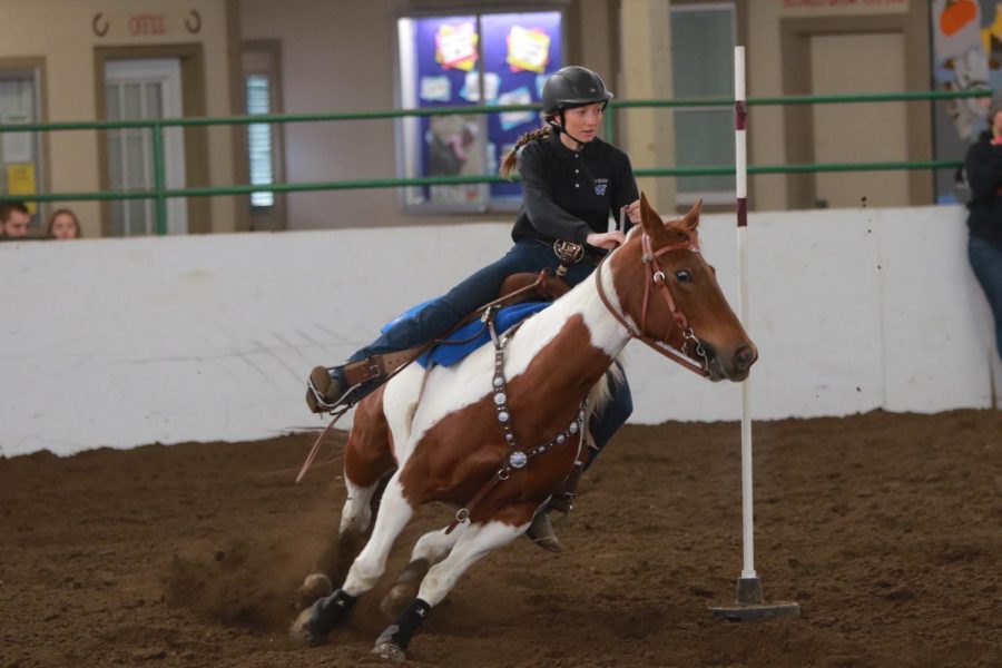 Sydney Jersey competes in equestrian.