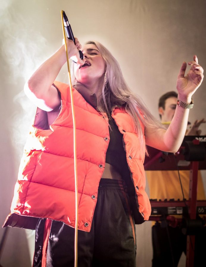 Pictured above is Billie Eilish performing at The Hi Hat in Highland Park, Los Angeles, California in August 2017.