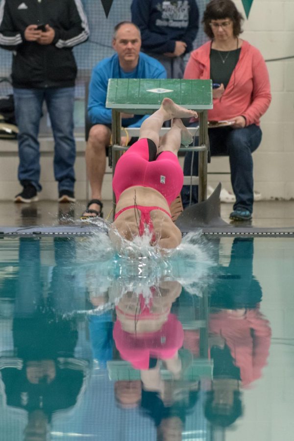 Junior Abby Maoz diving into the pool with her pink tech suit.