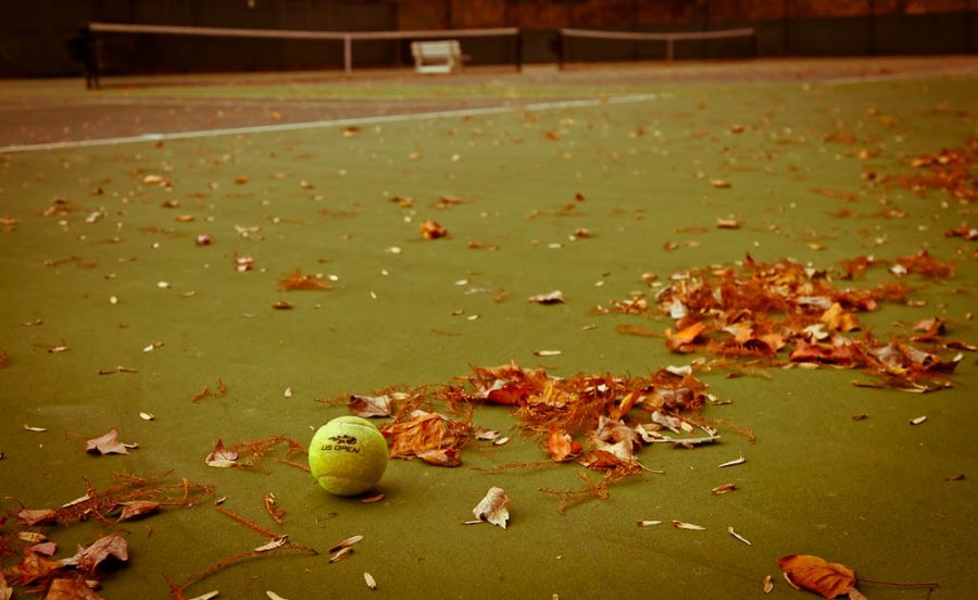 Many Wilsonville athletes would participate in a fall tennis season.