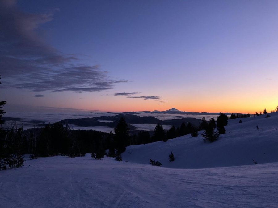 View from the top of Vista Express from Mt. Hood Meadows Ski resort.