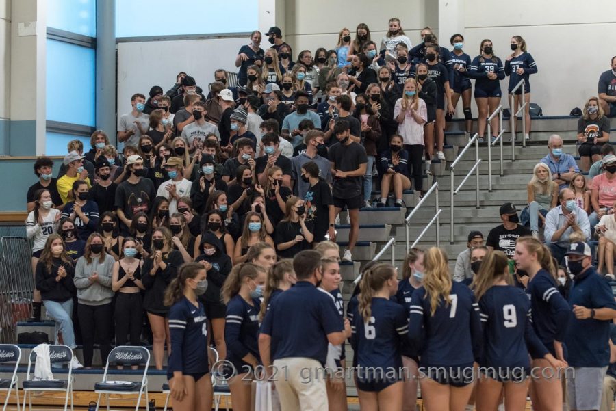 Wildcat student section supporting Wilsonville volleyball. 