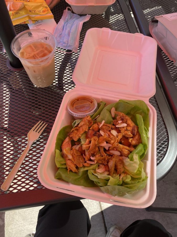 My southwest chicken salad and iced chai arranged on my outdoor table I studied at over the summer. Because of the outdoor seating, I was also able to bring my dog along!