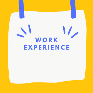 Work experience is a great opportunity to get credit for your job outside of school. Talk to your counselor if you are interested in taking it. 