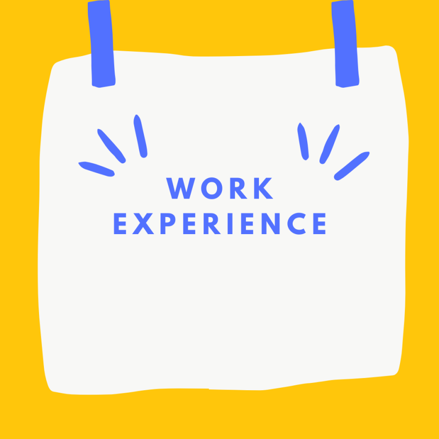 Work experience is a great opportunity to get credit for your job outside of school. Talk to your counselor if you are interested in taking it. 
