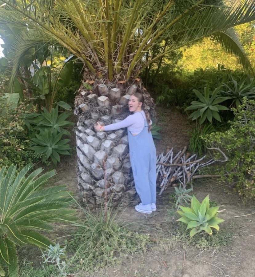 Abbie Memmott, junior, enjoys her break in the sunny, California. She embraces a tree on her journey.