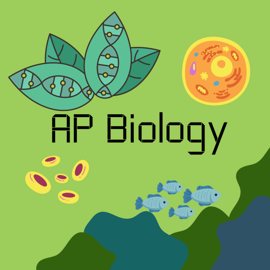 AP+Bio+%21%21