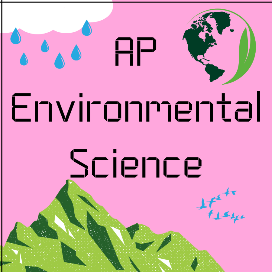 AP Environmental Science Rocks!