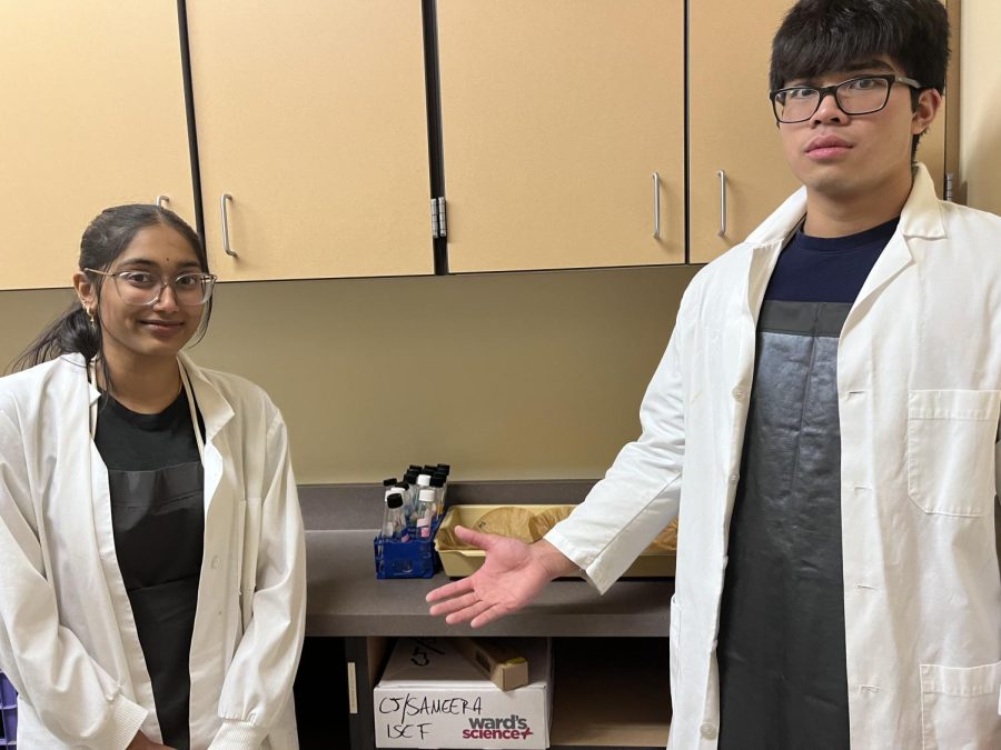 Sameera Latham (right) and CJ Chan (left) work in the lab on their project. They have been exploring methods of research and staring their experiments in lab hours after school. 