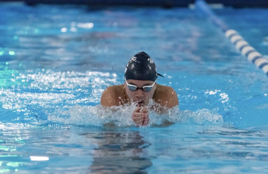 A member of the Wilsonville Swim team focusing in during his swim. This was at the NWOC districts meet. 