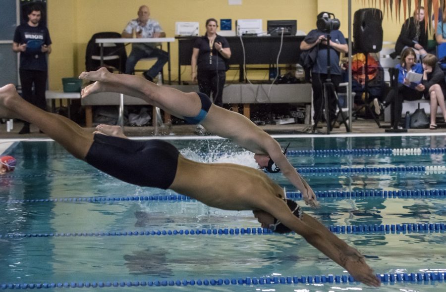 Members of the Wilsonville swim team diving off their blocks.  They are preparing to compete.