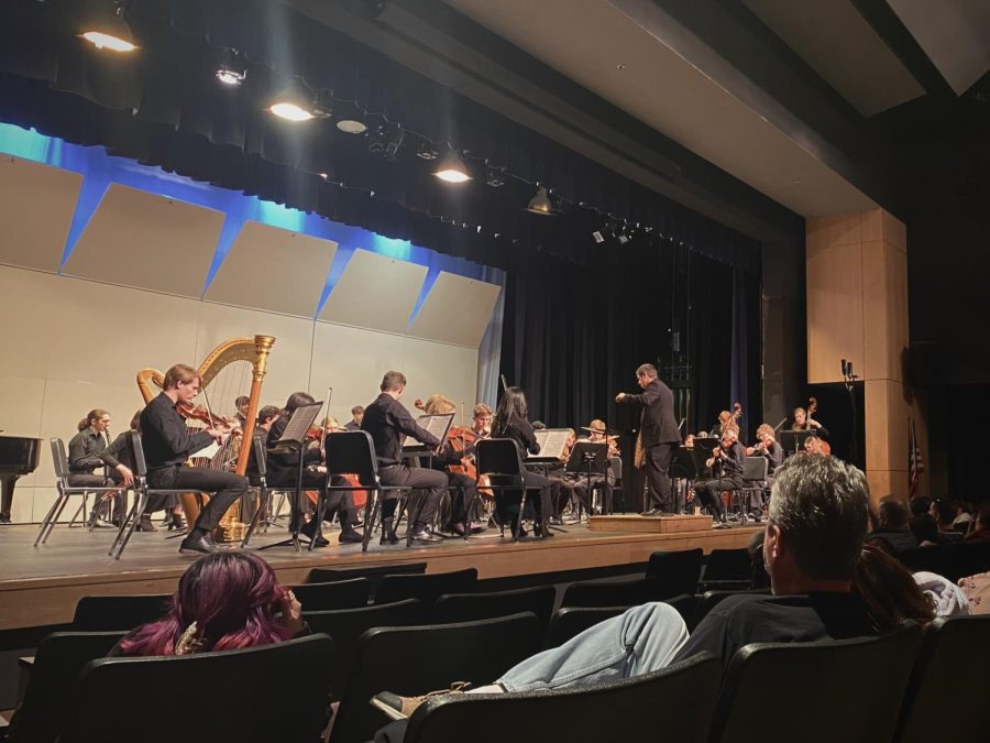 Another image of the chamber orchestra performance. I hope more people are able to attend and listen to their performances! Their music reparked appreciation for classical music. 