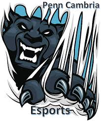 This is one of the possible new logos for Wilsonville esports. The team is considering a few options. 