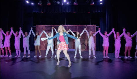 Above shows Legally Blonde, one of the most recognizable plays Wilsonville has ever performed, reaching a legendary status in the community.