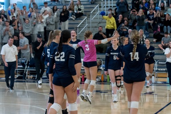 Wilsonville Volleyball celebrates their first round win over Mountain View. Wilsonville will play Crater at Forest Grove High School on Friday at 10am. Photo provided by Greg Artman.
