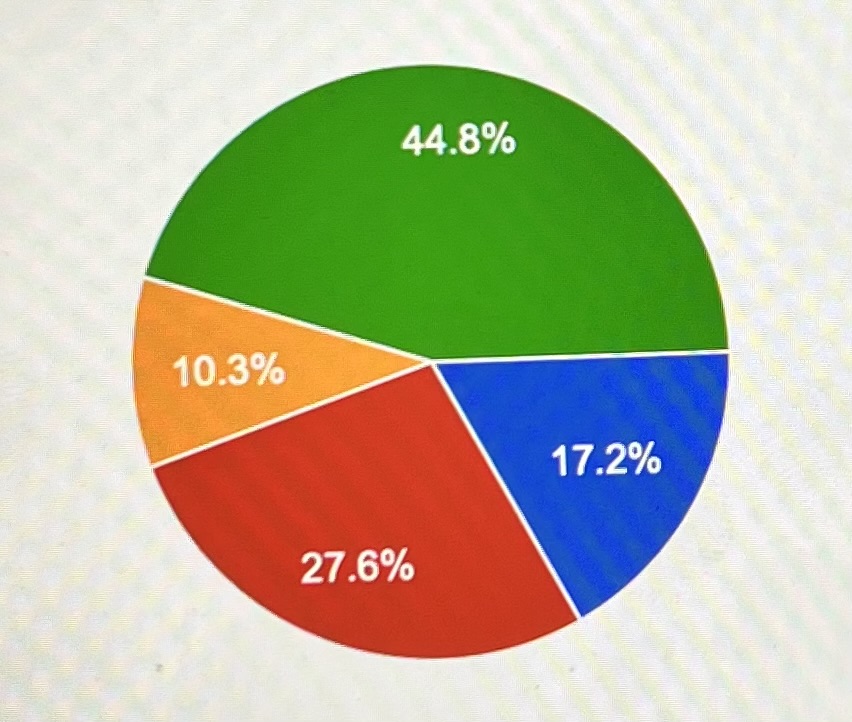 Pictured above is a pie chart regarding the percentage of students who had trouble staying awake in class. The green represents the occasional rest.