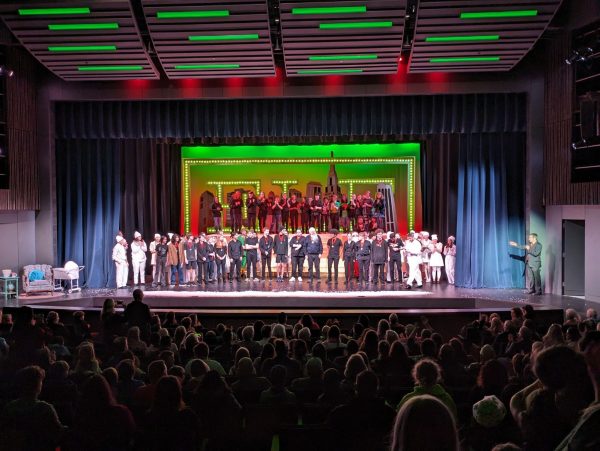 What a magical show! The cast, crew, and orchestra stand onstage as they receive thunderous applause and a standing ovation on closing night.