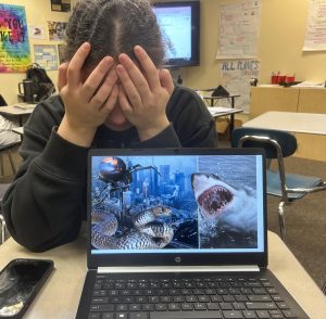 A student expresses the emotions that can be brought on by seeing their fear. Pictured is a collage of a spider, snake, and a shark which are common fears within the Wilsonville student body.