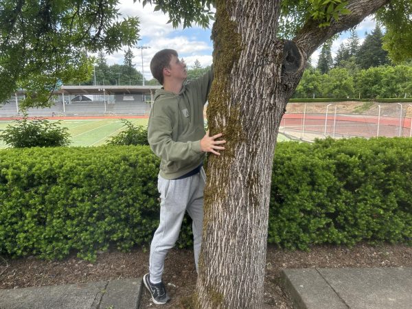Luke Larson enjoys the warm weather outside and climbs a tree. When the sun is out, more students partake in outdoor activities.