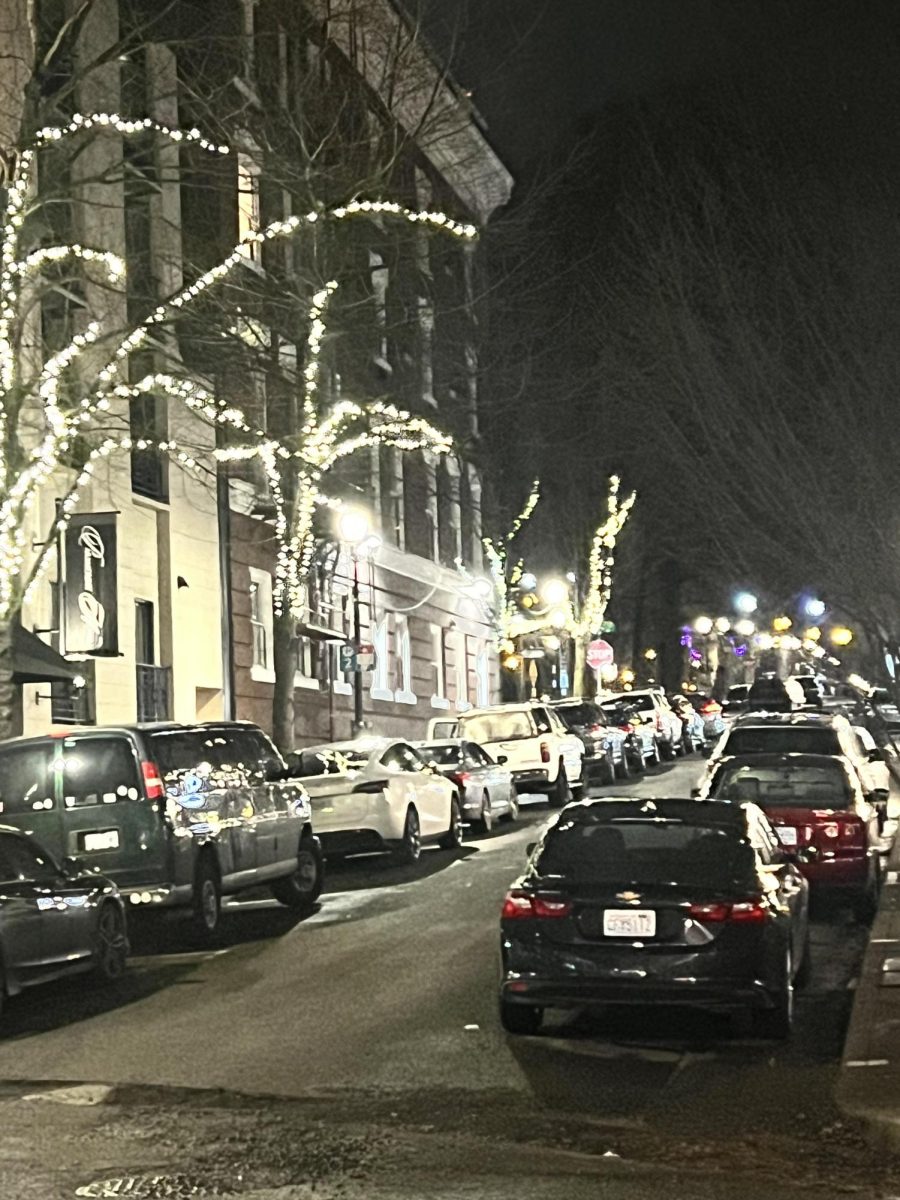 Winter holiday lights flood the streets of Portland. Other holiday decorations appear absent after the chaos of holiday celebrations.