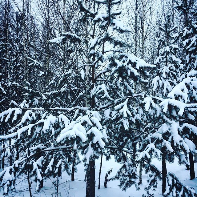 Russian Winter