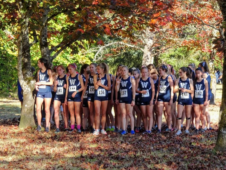 Both varsity and junior varsity girls wait expectantly at the start line. Wilsonville swept the meet, winning in all divisions. 