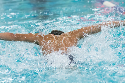 This past Monday marked the commencement of swim season at Wilsonville High School. Now that practices have started, participants are gearing up and getting ready for their first meet on December 11th.