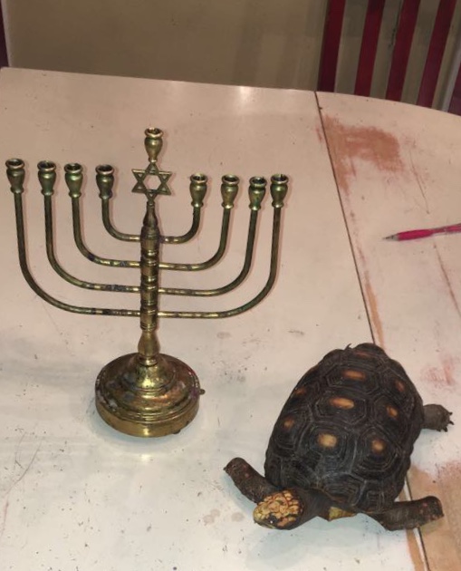 A traditional menorah of the Gail household.