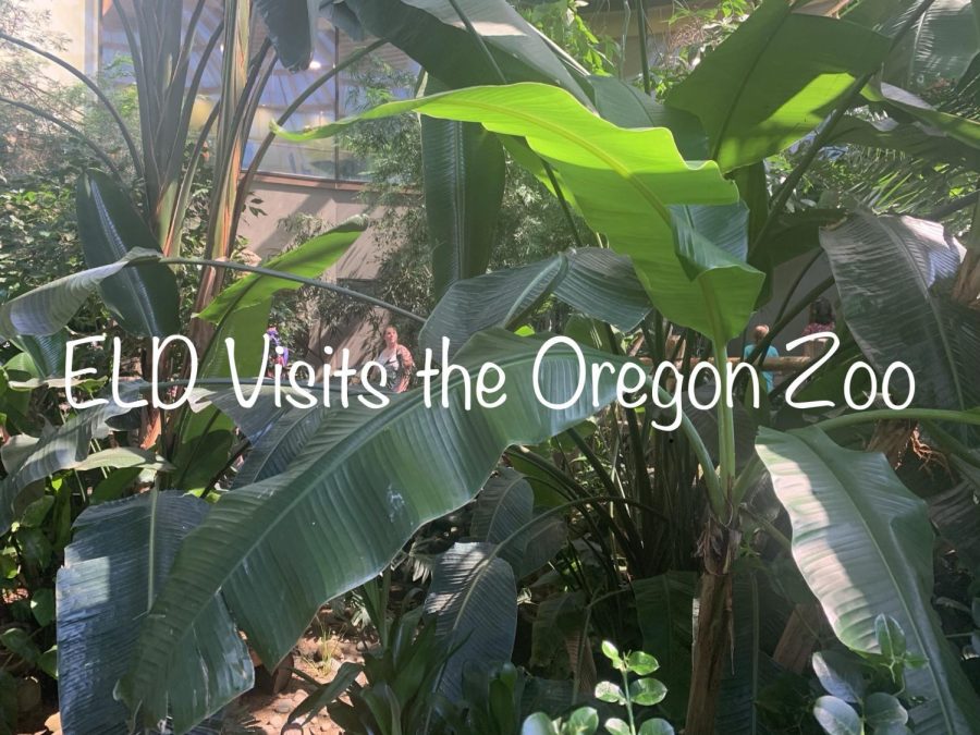 Students visited the Oregon zoo. After a quick lesson, they were able to walk around and see the other exhibits.