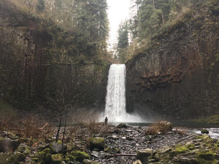 Abiqua Falls