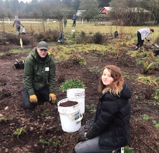 Environmental club planting pollinator plants.