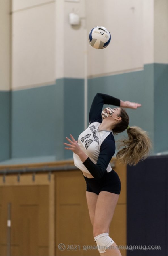 Senior Clarissa Klein gains the point with a kill. The Wildcats stay undefeated after beating Parkrose in a three set match.