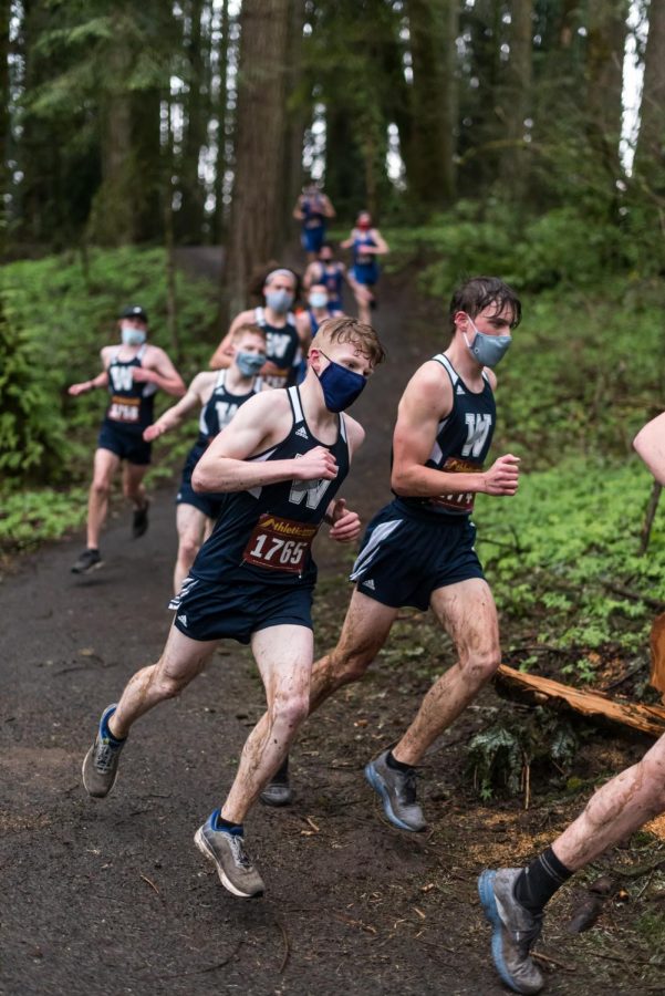 Wilsonville cross country racing at Memorial Park - Greg Artman