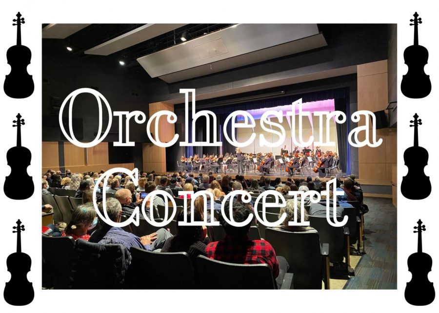 Orchestra Concert