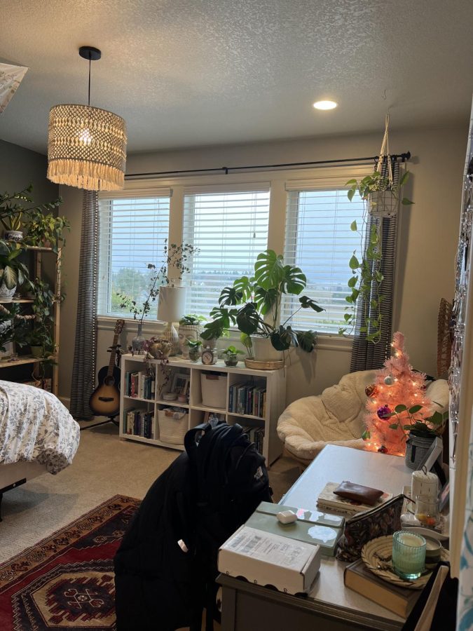 Grace Jensen enjoys decorating her bedroom with plants and pictures, while also making sure to have a shelf full of books.    Jensen bought her first  houseplant two years ago, and since then plants have become one of her favorite decor pieces--keeping the room chic and clean simultaneously.