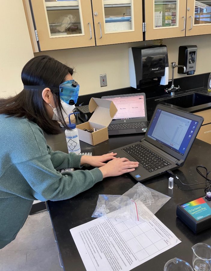 Anthea Goh is hard at working during a lab. She hopes that doing labs will help prepare her for becoming a veterinarian. 