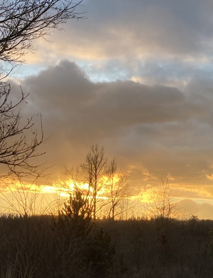 One of the best ways to relax during finals week is to go outside. Enjoying the fresh air and scenery can help students to decompress during high stress. 