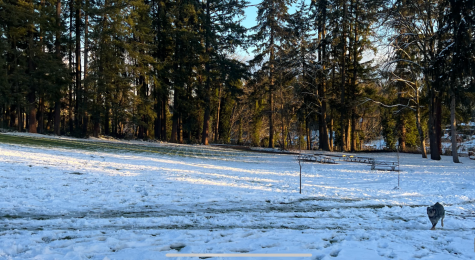 Students woke up to a few inches of snow coating the ground. To the students pleasure school was cancelled for 2 days.