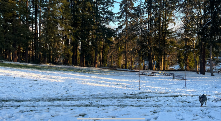 Students woke up to a few inches of snow coating the ground. To the student's pleasure school was cancelled for 2 days.