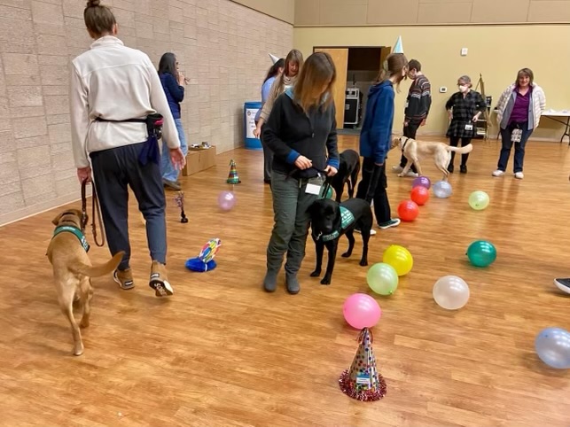 Distractions are something that guide dogs have to learn to ignore when they are given to a handler. Trainers are expected to teach such behavior throughout the time they raise the puppy.