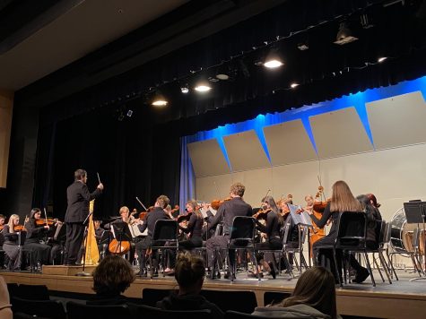 Mr. Davies, a shining and cunning leader, is conducting Wilsonville’s chamber orchestra. It is his umpteenth time performing in a concert at Wilsonville High School. 