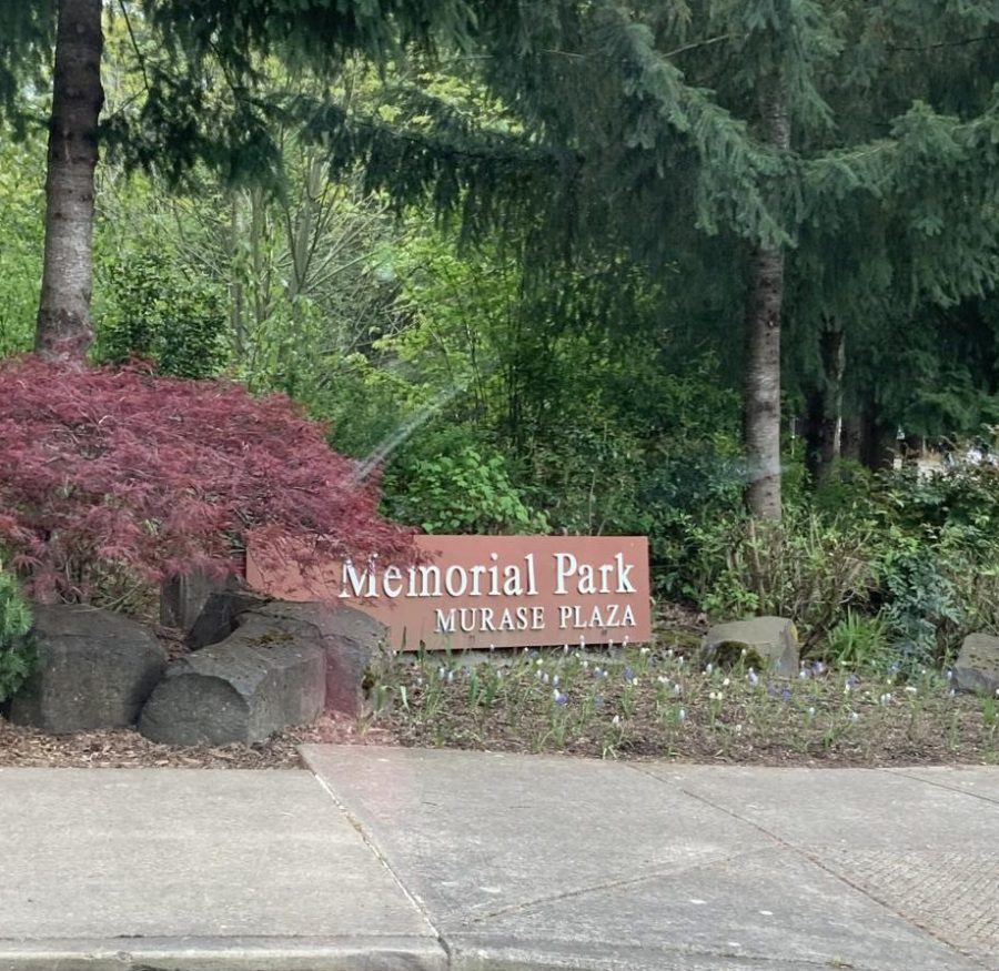 Memorial Park is a popular place for students to hang out. There are soccer and baseball fields, basketball and tennis courts, and a trail that leads down to the river.  