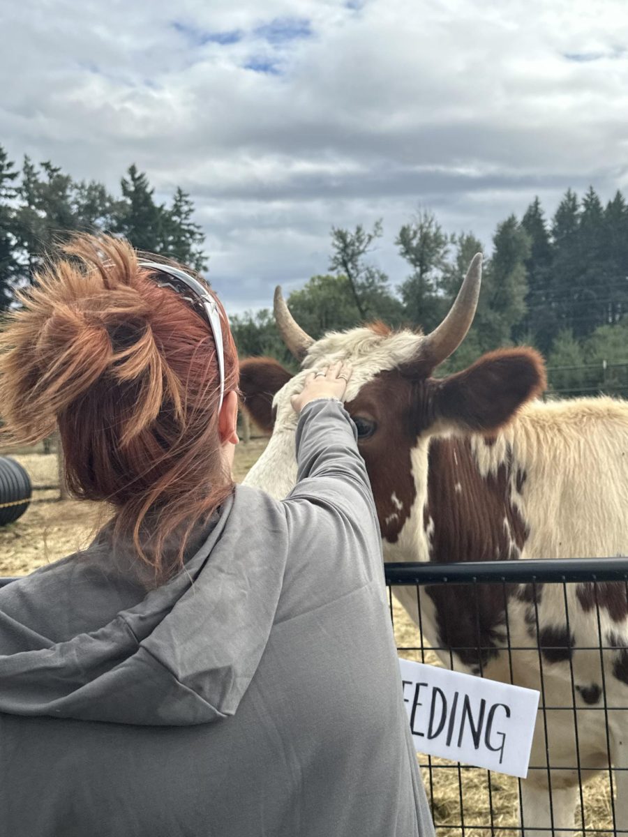 Grace Tuecke, a Senior at Wilsonville, pets a cow at Frog Pond Farms. "This will not be our last trip to the farm this fall!"