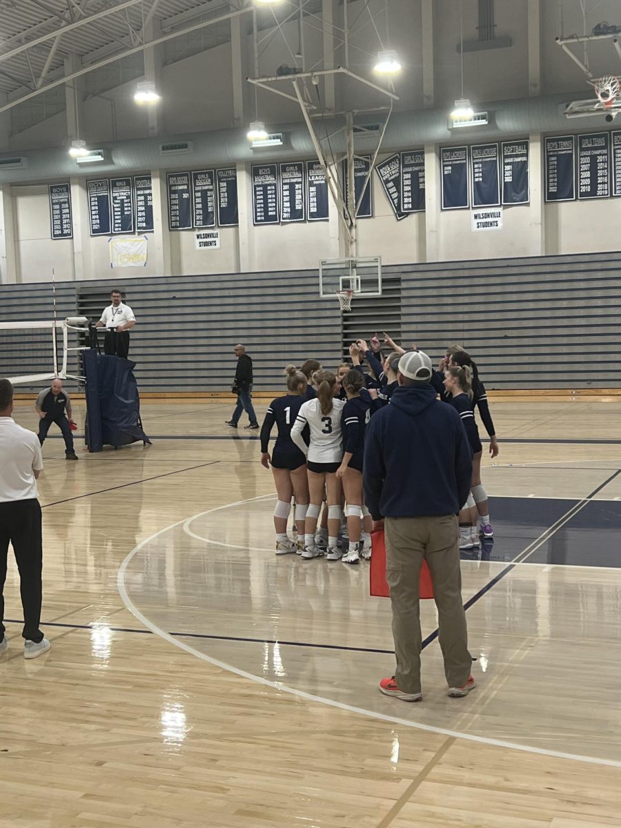 The Wilsonville girls team huddling before the start of the game against Centennial. After, they quickly got into formation for the first point of the game. 


