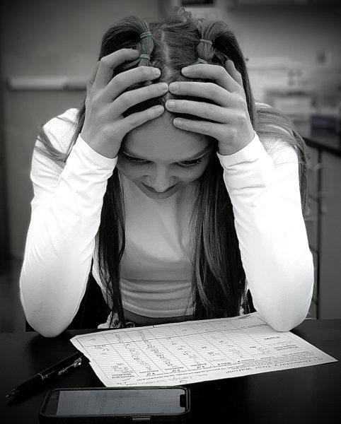 Sophomore Camryn Schaan experiences difficulty in life class in completing a chemistry assignment. Like many high school students, she displays a common posture of discouragement while beginning to work through her homework. 