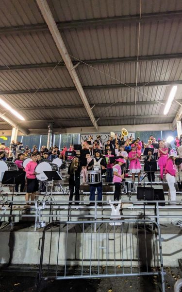The Wilsonville pep band at the homecoming football game. Here, pep band is playing the fight song after the team scored a touchdown.